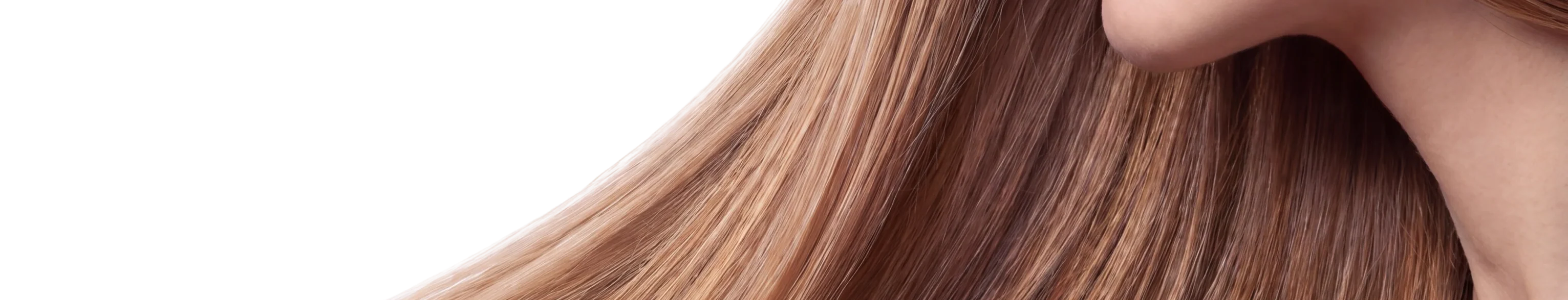 Hair — work by the stylists of Atelier salon